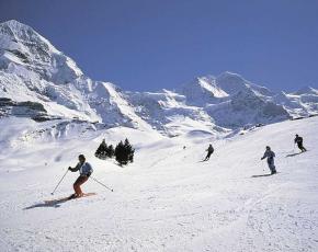 Skidorter swissgrindelwald, wengen, mürren Underhållning och aktiv rekreation