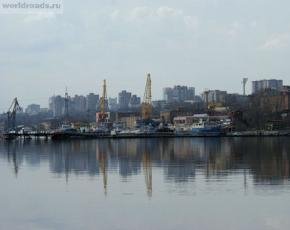 Величественное дерево секвойя покоряет всех своей помпезностью